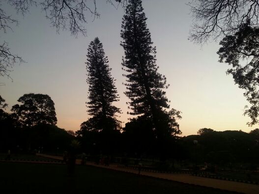 Cubbon Park, Bengaluru