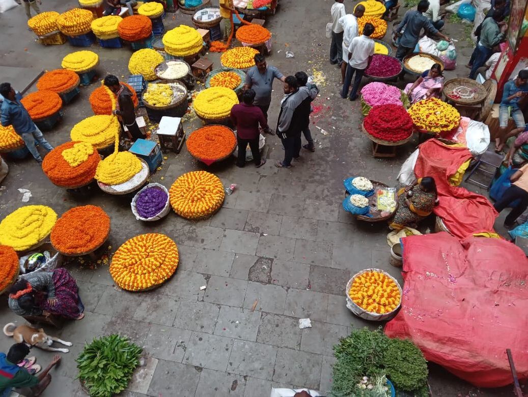 Flower market, City (KR) Market